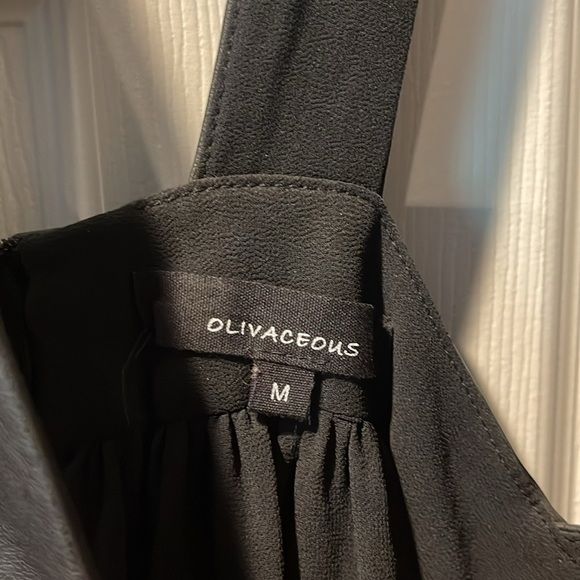 Vixen Deep V-Dress - Picture 6 of 9